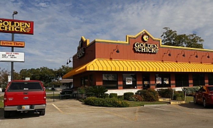 Food Golden Chick